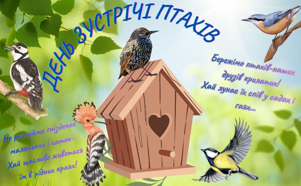 Listvka_Den_zustrch_ptahv__uchnv_6_klasu_Lisichansko_gmnaz_2.jpg